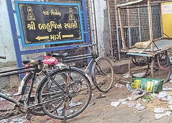 લીંબડીના બાહેલાપરામાં ગંદકીના ગંજથી પાલિકા તંત્રની સામે રોષ | Anger against the municipal administra…