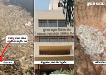 GPCBના ગાલ પર ફરી તમાચો! અમદાવાદ ગ્રામ્યના તળાવમાં ત્રીજી વખત માછલીઓના સામૂહિક મોત, કેમિકલનો ખેલ | A…