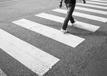 ટ્રાફિક જંકશનો ખાતે સ્ટોપ લાઈન ક્રોસ કરતા વાહનચાલકો દંડાશે | Drivers crossing stop lines at traffic …