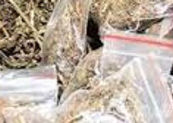 હાવડા-અમદાવાદ એક્સપ્રેસ ટ્રેનમાં બિનવારસી ટ્રોલીબેગમાંથી ૧૨ કિલો ૭૬૦ ગ્રામ ગાંજો ઝડપાયો | ganjo caug…