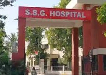 સયાજી હોસ્પિટલમાં દર્દીની સારવાર કરનાર ડોક્ટર એકાઉન્ટન્ટનું કામ કરવા મજબૂર | Doctor treating patient…