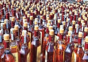 ચિખોદરા ગામની સીમમાંથી 17 પેટી વિદેશી દારૂ ઝડપાયો | 17 boxes of foreign liquor seized from the outsk…