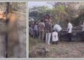 અમરેલી: લીલીયાના કણકોટ ગામે ખુલ્લા કૂવામાં ખાબકતા સિંહનું મોત, વનવિભાગ સામે વન્યજીવ પ્રેમીઓમાં રોષ |…