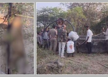 અમરેલી: લીલીયાના કણકોટ ગામે ખુલ્લા કૂવામાં ખાબકતા સિંહનું મોત, વનવિભાગ સામે વન્યજીવ પ્રેમીઓમાં રોષ |…