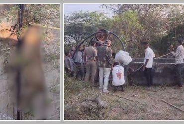 અમરેલી: લીલીયાના કણકોટ ગામે ખુલ્લા કૂવામાં ખાબકતા સિંહનું મોત, વનવિભાગ સામે વન્યજીવ પ્રેમીઓમાં રોષ |…