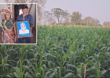 છોટાઉદેપુર: સગા કાકાએ ભત્રીજા સાથે કર્યો વિશ્વાસઘાત, તંત્રની મિલીભગતથી પચાવી પાડી લાખોની જમીન | Land…