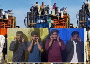 પંચમહાલ: શહેરાના ભુરખલમાં ‘DJ યુદ્ધ’ ખેલનારા સંચાલકો સામે પોલીસની લાલ આંખ, જાહેરમાં મંગાવી માફી | Po…