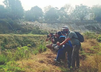 વિશ્વામિત્રીના 17 કિમી એરિયામાં મગરોની બે તબક્કામાં ગણતરી કરાઇઃ 10 વર્ષમાં બમણી વસ્તી થવાની શક્યતા |…