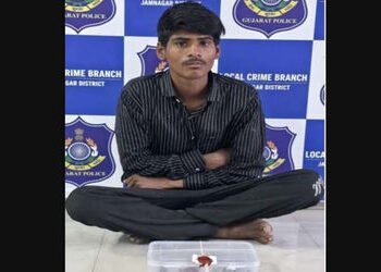 જામનગરના સિદ્ધાર્થ નગરની ઘરફોડ ચોરીનો ભેદ ઉકેલાયો: એક આરોપીની ધરપકડ | Jamnagar’s Siddharth Nagar hou…