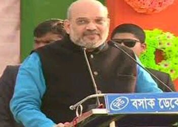 ૩૧ માર્ચ સુધી નકસલવાદનો સફાયો થઇ જશે ઃ અમિત શાહ | naxal menace to be end by 31st march