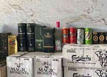 વિદેશી દારૂનો જથ્થો ભરેલ બોલેરો પિકઅપ વાહન સાથે શખ્સ ઝબ્બે | Man arrested with Bolero pickup truck l…