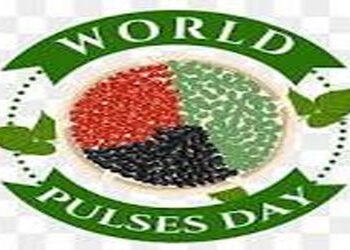આજે વિશ્વ કઠોળ દિવસઃ ગુજરાતમાં 5 વર્ષમાં કઠોળનું ઉત્પાદન બમણું | World Pulses Day today: Pulses prod…