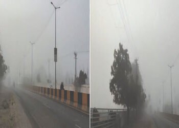 જામનગર જિલ્લાના હવામાનમાં અચાનક પલટો આવ્યો : ઝાકળભીની સવાર | There was a sudden change in the weathe…