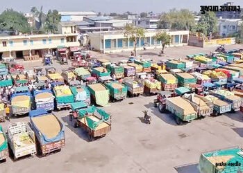 કૃષિ અને સહકાર વિભાગનો નિર્ણય, 09 APMCમાં ચૂંટણીની જાહેરાત, 15 APMCની મુદતમાં 6 મહિનાનો વધારો | Guja…