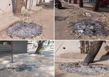 સુરત શહેરના અનેક વિસ્તારોમાં કચરાનો નિકાલ કરવાના બદલે સીધા સળગાવાતા હોવાની ફરિયાદ | Complaints of wa…