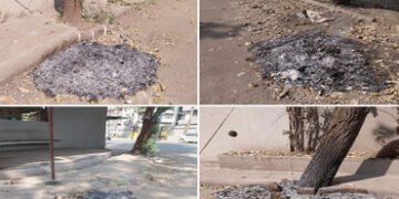 સુરત શહેરના અનેક વિસ્તારોમાં કચરાનો નિકાલ કરવાના બદલે સીધા સળગાવાતા હોવાની ફરિયાદ | Complaints of wa…