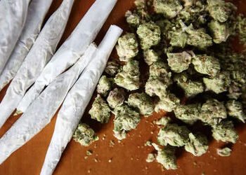 નડિયાદના ઈદગાહ રોડ પરથી એક કિલો ગાંજાના જથ્થા સાથે શખ્સ ઝડપાયો | Man arrested with one kg of marijua…