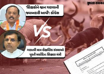 ગુજરાતની તમામ શૈક્ષણિક સંસ્થાઓને શ્વાનોનો તાત્કાલિક સર્વે કરવા આદેશ, પરિપત્ર રદ કરવા કોંગ્રેસની માગ …