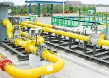 ‘યોગ્ય ઓફર મળે તો અમેરિકાથી LNG ખરીદશે ભારત…’, પેટ્રોનેટના CEOની જાહેરાત | India May Buy More LNG …