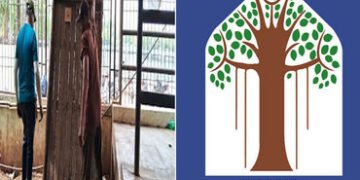 શિવોત્સવમાં કેન્દ્રીય ગૃહમંત્રી અને નાયબ મુખ્યમંત્રીના આગમનને ધ્યાનમાં રાખી વડોદરા કોર્પોરેશન દ્વારા…