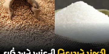 ખેડૂતો માટે કેન્દ્ર સરકારનો મોટો નિર્ણય! 25 લાખ ટન ઘઉં અને 5 લાખ ટન ખાંડની નિકાસને આપી લીલીઝંડી | Go…