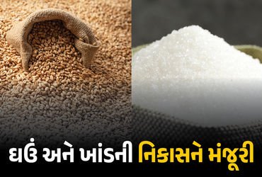 ખેડૂતો માટે કેન્દ્ર સરકારનો મોટો નિર્ણય! 25 લાખ ટન ઘઉં અને 5 લાખ ટન ખાંડની નિકાસને આપી લીલીઝંડી | Go…