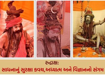 શિવના અશ્રુમાંથી જન્મેલા ‘રુદ્રાક્ષ’નું રહસ્ય: સાધુઓ માટે માત્ર આભૂષણ નહીં, રક્ષણાત્મક કવચ છે આ મણકા…