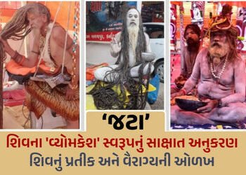 ભવનાથનો મેળો: નાગા સાધુઓની ‘જટા’ પાછળનું રહસ્ય, કેમ શિવના વૈરાગી સ્વરૂપનું કરે છે અનુકરણ? | Junagadh…