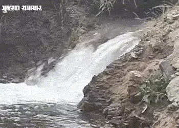 અમરેલીના મુંજીયાસર ડેમની કેનાલમાં ભંગાણ, રોડ પર નદીઓ વહેતી હોય તેવા દ્રશ્યો | Munjiyasar Dam canal c…