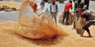 સરકારે 25 લાખ ટન ઘઉં અને પાંચ લાખ ટન ખાંડની નિકાસની છૂટ આપી | Government allows export of 2 5 millio…