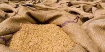 આજથી ગ્રેઇન ATM શરૂ: લોકોને 24 કલાક રેશનિંગનું અનાજ મળશે, જાણો ક્યાં-ક્યાં શરૂઆત | Grain ATMs Launch…