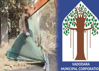 વડોદરામાં બહુચરાજી રોડ પર પેટ્રોલ પંપ સામે ગેરકાયદે 20 જેટલા શેડનો બુલડોઝરથી સફાયો | 20 illegal shed…