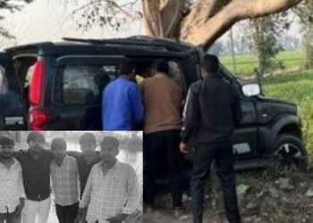 બહેનનાં લગ્નમાંથી પરત ફરતા 5 મિત્રોને કાળ ભરખી ગયો, આખું ગામ હિબકે ચડ્યું | gohana accident 5 youths…