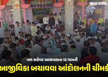 નળસરોવરમાં માછીમારી પર પ્રતિબંધ, આજીવિકા છીનવાઈ હોવાના દાવા સાથે 12 ગામના માછીમારોનો વિરોધ | Ahmedab…