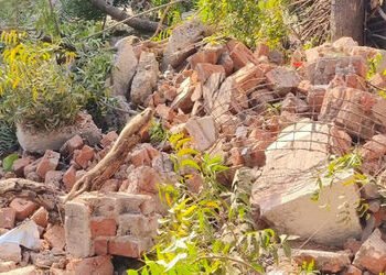 જર્જરિત સરકારી બિલ્ડીંગ તોડતા સમયે કાટમાળ વૃક્ષ-વીજ પોલ પર પડયો | While demolishing a dilapidated go…