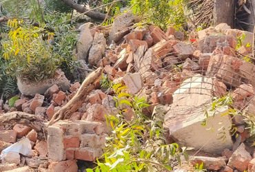 જર્જરિત સરકારી બિલ્ડીંગ તોડતા સમયે કાટમાળ વૃક્ષ-વીજ પોલ પર પડયો | While demolishing a dilapidated go…