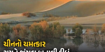 Explainer: 48 વર્ષમાં 66 અબજ વૃક્ષો વાવીને ચીને રણને કરી દીધું લીલુંછમ, ભારત માટે બોધપાઠ સમાન ઉદાહરણ…