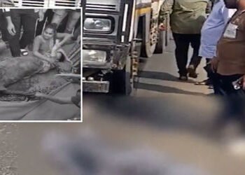 સુરત: લસકાણામાં કાળમુખી ટ્રકે મોપેડને હડફેટે લીધી, એકનું મોત બે લોકો ઈજાગ્રસ્ત | Surat Accident: Spe…