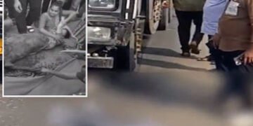 સુરત: લસકાણામાં કાળમુખી ટ્રકે મોપેડને હડફેટે લીધી, એકનું મોત બે લોકો ઈજાગ્રસ્ત | Surat Accident: Spe…