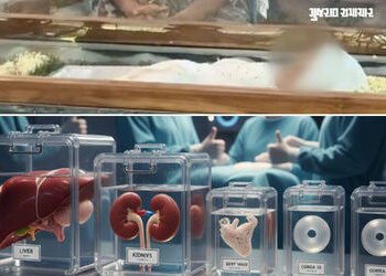 10 જ મહિનાની અલીને પાંચ લોકોના જીવ બચાવ્યા, કેરળની સૌથી નાની વયની અંગદાતા બનીને ઈતિહાસ સર્જ્યો | Ker…