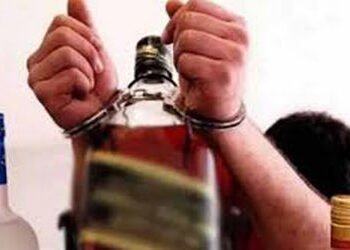 નડિયાદ પશ્ચિમ, મહેમદાવાદ રેલવે કોલોની પાસેથી દારૂ સાથે બે પકડાયા | Two arrested with liquor near Nad…