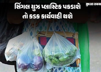 અમદાવાદમાં પ્રતિબંધિત પ્લાસ્ટિક પકડાશે તો ખેર નહીં, દુકાન કે ફેક્ટરી સીલ તેમજ પેનલ્ટી સુધીની કાર્યવા…
