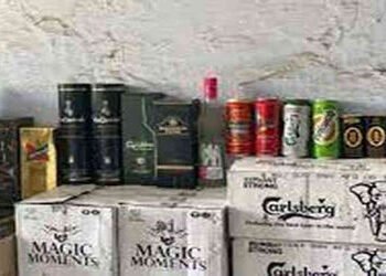 ખેતાખાટલી ગામે વિદેશી દારૂ ભરેલી પિકઅપ વાહન સાથે એક શખ્સ ઝબ્બે | A man was arrested with a pickup tr…