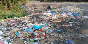 સિહોરમાં વાહન-સ્ટાફના અભાવે ગંદકીનું સામ્રાજ્ય, લોકોને હાલાકી | Lack of vehicles and staff in Sehore…