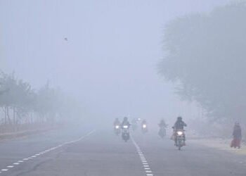 ગુજરાતમાં હવામાનની આગાહી: હજુ 10 દિવસ રહેશે મિશ્ર સિઝન, દિવસ-રાતમાં 18 ડિગ્રીનો તફાવત | gujarat weat…