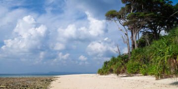 રૂ. 81 હજાર કરોડના ગ્રેટ નિકોબાર પ્રોજેક્ટને NGTની મંજૂરી, 10 લાખ વૃક્ષો કાપી એરપોર્ટ-પાવર પ્લાન્ટ ન…