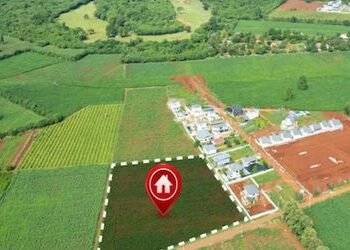 જામનગર જિલ્લામાં ડિજિટલ ક્રોપ સર્વેની ચકાસણી માટે આર્ટિફિશિયલ ઈન્ટેલિજન્સ બોટની મદદ લેવાશે | Artific…