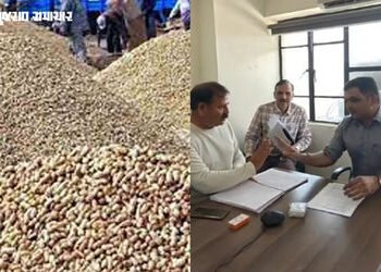 ‘હજારો ખેડૂતોને હજુ એકેય રૂપિયો કૃષિ સહાય નથી મળી…’, ટેકાના ભાવે વેચેલી મગફળીના બાકી નાણાં અંગે કો…