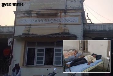 અમરેલીમાં ઝેરી મધમાખીનો આતંક, લાઠીના ઝરખીયા ગામમાં બેઠેલા 6 લોકોને મધમાખી કરડી, તમામને હોસ્પિટલ ખસેડ…