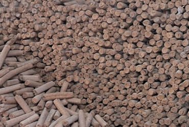 મ્યુનિ.તંત્ર દ્વારા ગ્રીન હોળી અભિયાન , અમદાવાદમાં ૧૦૧ સ્થળોએ વૈદિક હોળી ઉજવવા માટે પહેલ | Green Hol…